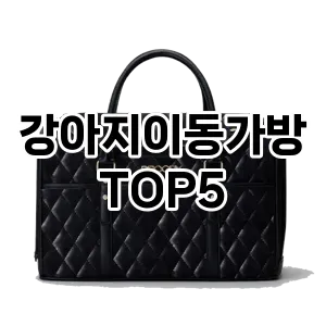 강아지이동가방 필수템! 이번 시즌을 위한 베스트 Top 5 강아지이동가방 추천!