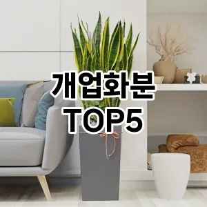 개업화분 필수템! 이번 시즌을 위한 베스트 Top 5 개업화분 추천!