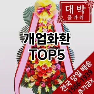 개업화환 필수템! 이번 시즌을 위한 베스트 Top 5 개업화환 추천!