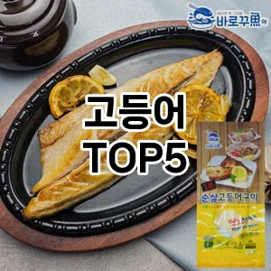 고등어 필수템! 이번 시즌을 위한 베스트 Top 5 고등어 추천!