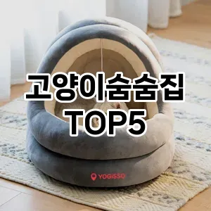 고양이숨숨집 필수템! 이번 시즌을 위한 베스트 Top 5 고양이숨숨집 추천!
