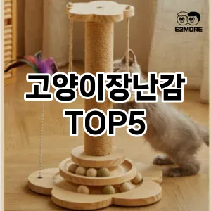 고양이장난감 필수템! 이번 시즌을 위한 베스트 Top 5 고양이장난감 추천!