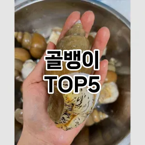 골뱅이 필수템! 이번 시즌을 위한 베스트 Top 5 골뱅이 추천!
