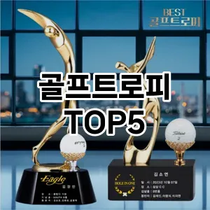 골프트로피 필수템! 이번 시즌을 위한 베스트 Top 5 골프트로피 추천!