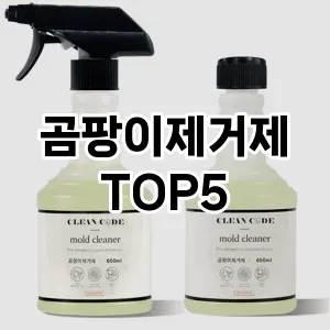 곰팡이제거제 필수템! 이번 시즌을 위한 베스트 Top 5 곰팡이제거제 추천!