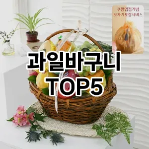 과일바구니 필수템! 이번 시즌을 위한 베스트 Top 5 과일바구니 추천!