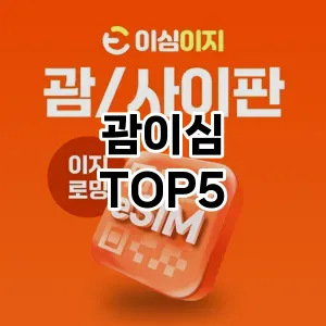 괌이심 필수템! 이번 시즌을 위한 베스트 Top 5 괌이심 추천!
