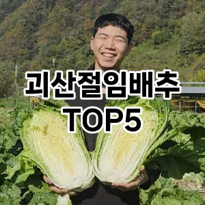 괴산절임배추 필수템! 이번 시즌을 위한 베스트 Top 5 괴산절임배추 추천!