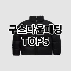 구스다운패딩 필수템! 이번 시즌을 위한 베스트 Top 5 구스다운패딩 추천!