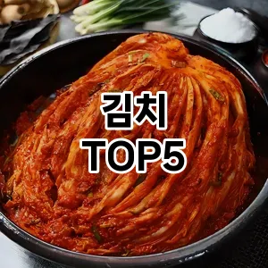 김치 필수템! 이번 시즌을 위한 베스트 Top 5 김치 추천!