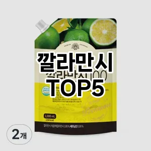 깔라만시 필수템! 이번 시즌을 위한 베스트 Top 5 깔라만시 추천!