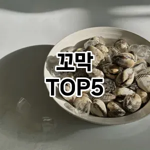 꼬막 필수템! 이번 시즌을 위한 베스트 Top 5 꼬막 추천!