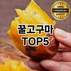 꿀고구마 필수템! 이번 시즌을 위한 베스트 Top 5 꿀고구마 추천!