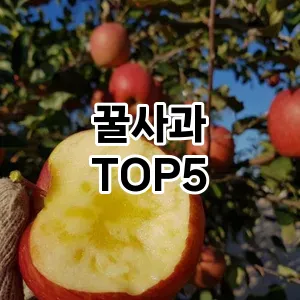 꿀사과 필수템! 이번 시즌을 위한 베스트 Top 5 꿀사과 추천!