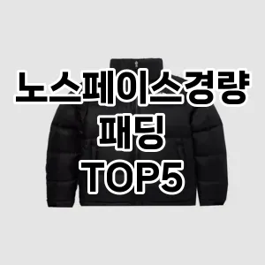 가벼워서 더 좋은 경량패딩! 올겨울 스타일리시한 선택 Top 5!