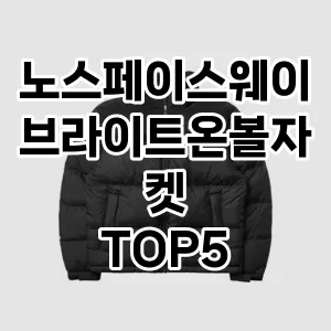 노스페이스웨이브라이트온볼자켓 필수템! 이번 시즌을 위한 베스트 Top 5 노스페이스웨이브라이트온볼자켓 추천!