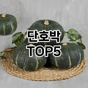 단호박 필수템! 이번 시즌을 위한 베스트 Top 5 단호박 추천!