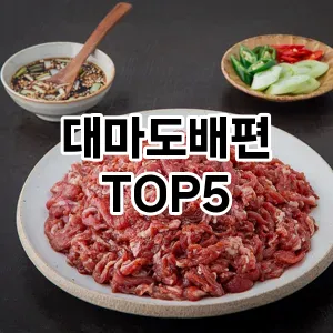 대마도배편 필수템! 이번 시즌을 위한 베스트 Top 5 대마도배편 추천!