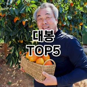 대봉 필수템! 이번 시즌을 위한 베스트 Top 5 대봉 추천!
