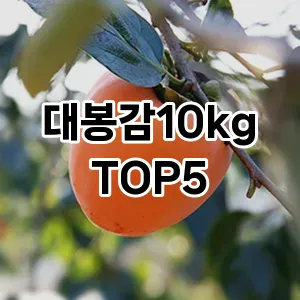 대봉감10kg 필수템! 이번 시즌을 위한 베스트 Top 5 대봉감10kg 추천!