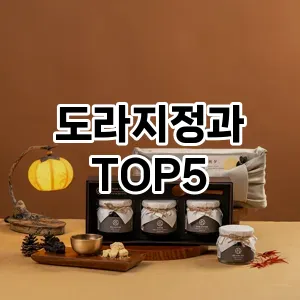 도라지정과 필수템! 이번 시즌을 위한 베스트 Top 5 도라지정과 추천!