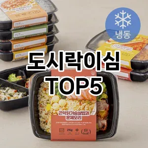 도시락이심 필수템! 이번 시즌을 위한 베스트 Top 5 도시락이심 추천!