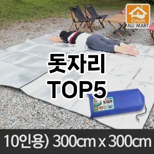 돗자리 필수템! 이번 시즌을 위한 베스트 Top 5 돗자리 추천!