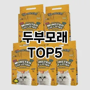 두부모래 필수템! 이번 시즌을 위한 베스트 Top 5 두부모래 추천!