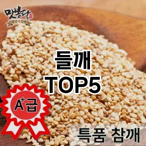 들깨 필수템! 이번 시즌을 위한 베스트 Top 5 들깨 추천!