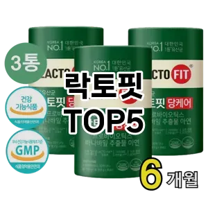 락토핏 필수템! 이번 시즌을 위한 베스트 Top 5 락토핏 추천!