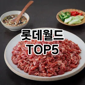 롯데월드 필수템! 이번 시즌을 위한 베스트 Top 5 롯데월드 추천!