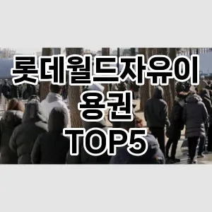롯데월드자유이용권 필수템! 이번 시즌을 위한 베스트 Top 5 롯데월드자유이용권 추천!