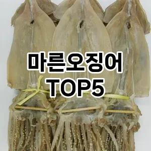 마른오징어 필수템! 이번 시즌을 위한 베스트 Top 5 마른오징어 추천!