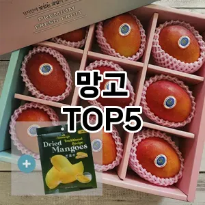 망고 필수템! 이번 시즌을 위한 베스트 Top 5 망고 추천!