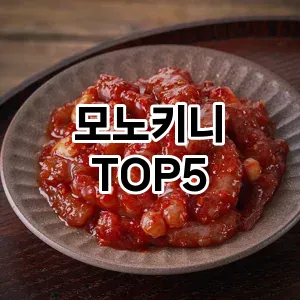 모노키니 필수템! 이번 시즌을 위한 베스트 Top 5 모노키니 추천!