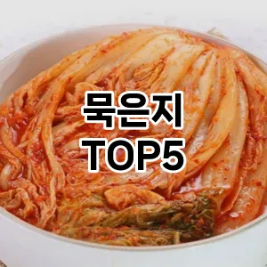 묵은지 필수템! 이번 시즌을 위한 베스트 Top 5 묵은지 추천!