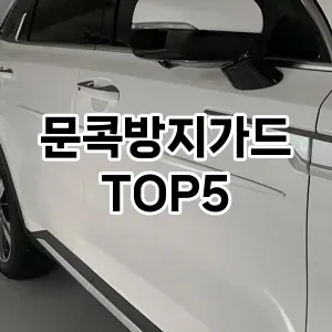 문콕방지가드 필수템! 이번 시즌을 위한 베스트 Top 5 문콕방지가드 추천!