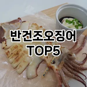 반건조오징어 필수템! 이번 시즌을 위한 베스트 Top 5 반건조오징어 추천!