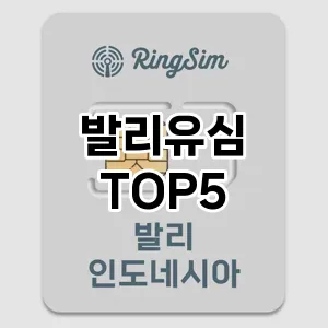 발리유심 필수템! 이번 시즌을 위한 베스트 Top 5 발리유심 추천!