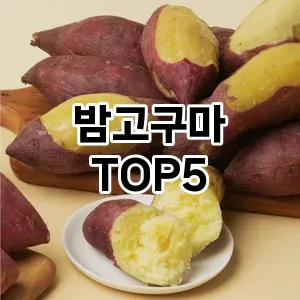 밤고구마 필수템! 이번 시즌을 위한 베스트 Top 5 밤고구마 추천!