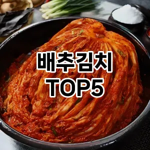 배추김치 필수템! 이번 시즌을 위한 베스트 Top 5 배추김치 추천!