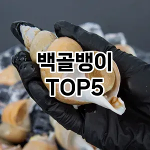 백골뱅이 필수템! 이번 시즌을 위한 베스트 Top 5 백골뱅이 추천!