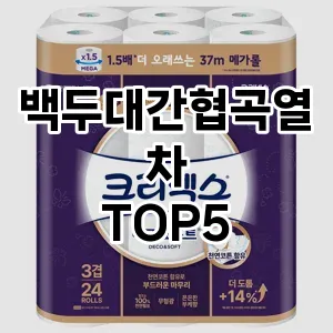 백두대간협곡열차 필수템! 이번 시즌을 위한 베스트 Top 5 백두대간협곡열차 추천!