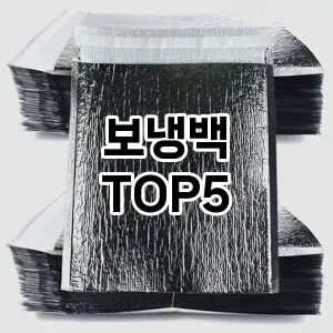 보냉백 필수템! 이번 시즌을 위한 베스트 Top 5 보냉백 추천!