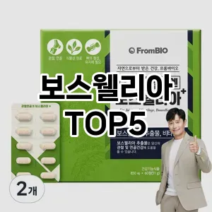 보스웰리아 필수템! 이번 시즌을 위한 베스트 Top 5 보스웰리아 추천!