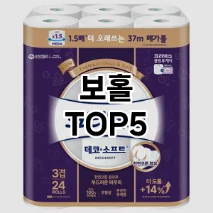 보홀 필수템! 이번 시즌을 위한 베스트 Top 5 보홀 추천!
