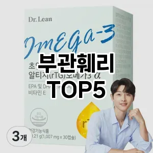 부관훼리 필수템! 이번 시즌을 위한 베스트 Top 5 부관훼리 추천!