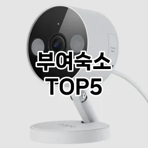 부여숙소 필수템! 이번 시즌을 위한 베스트 Top 5 부여숙소 추천!