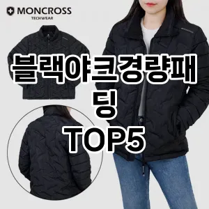 가벼워서 더 좋은 경량패딩! 올겨울 스타일리시한 선택 Top 5!