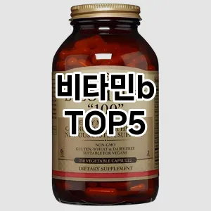 비타민b 필수템! 이번 시즌을 위한 베스트 Top 5 비타민b 추천!